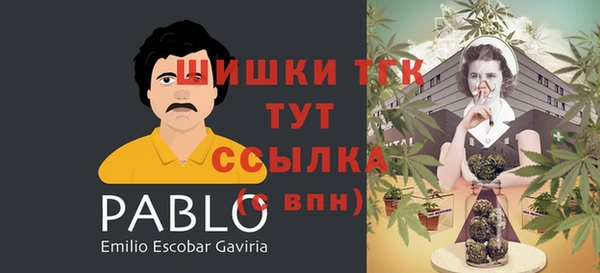 ГАЛЛЮЦИНОГЕННЫЕ ГРИБЫ Зеленокумск