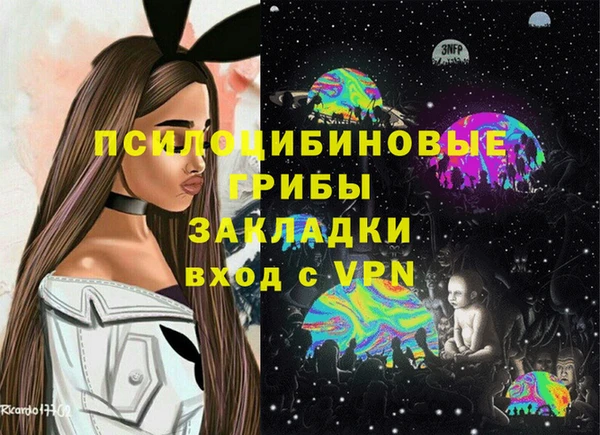 ГАЛЛЮЦИНОГЕННЫЕ ГРИБЫ Зеленокумск