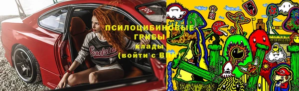 трава Зерноград